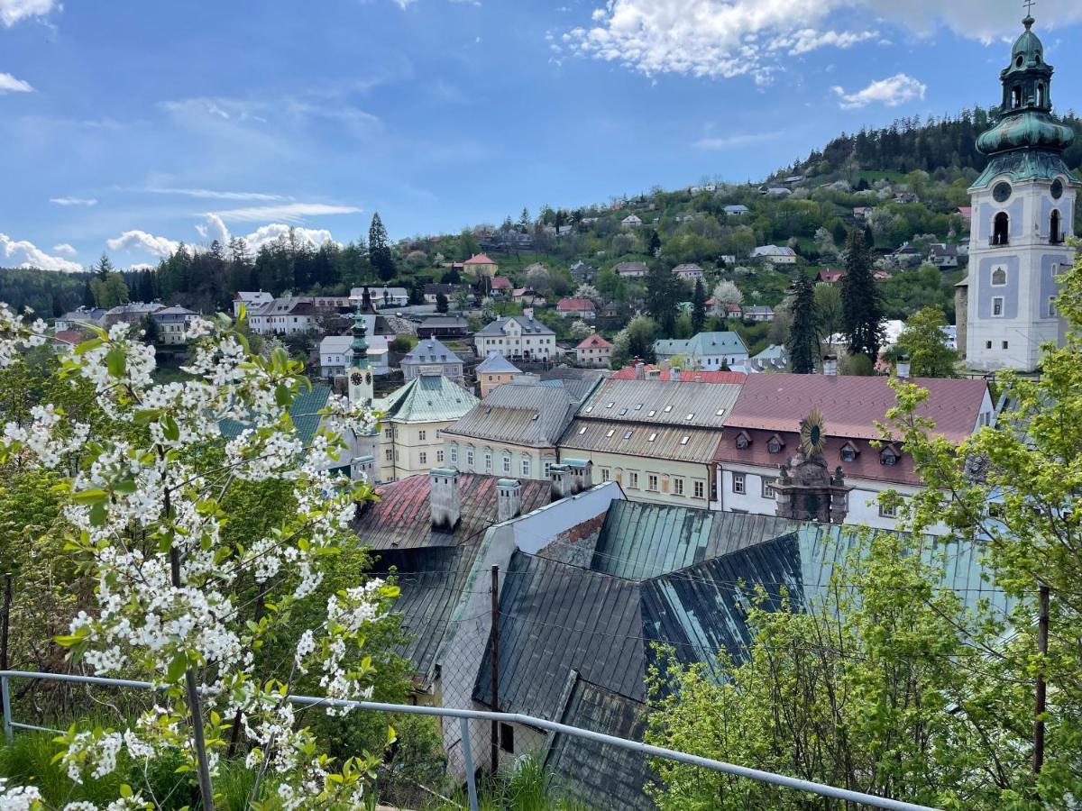 Cyprian Apartment Banská Štiavnica 外观 照片